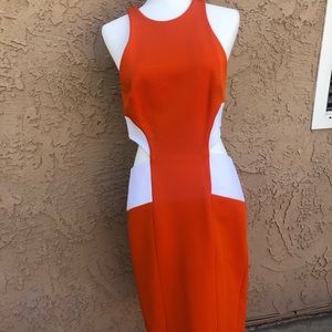 CUSHINIE ET OCHS NWT dress